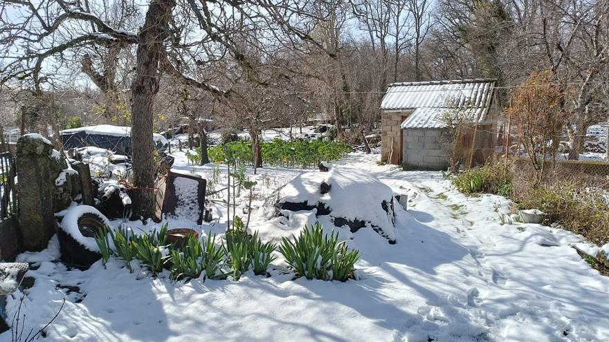 GALERÍA | La nevada de este sábado en Sanabria