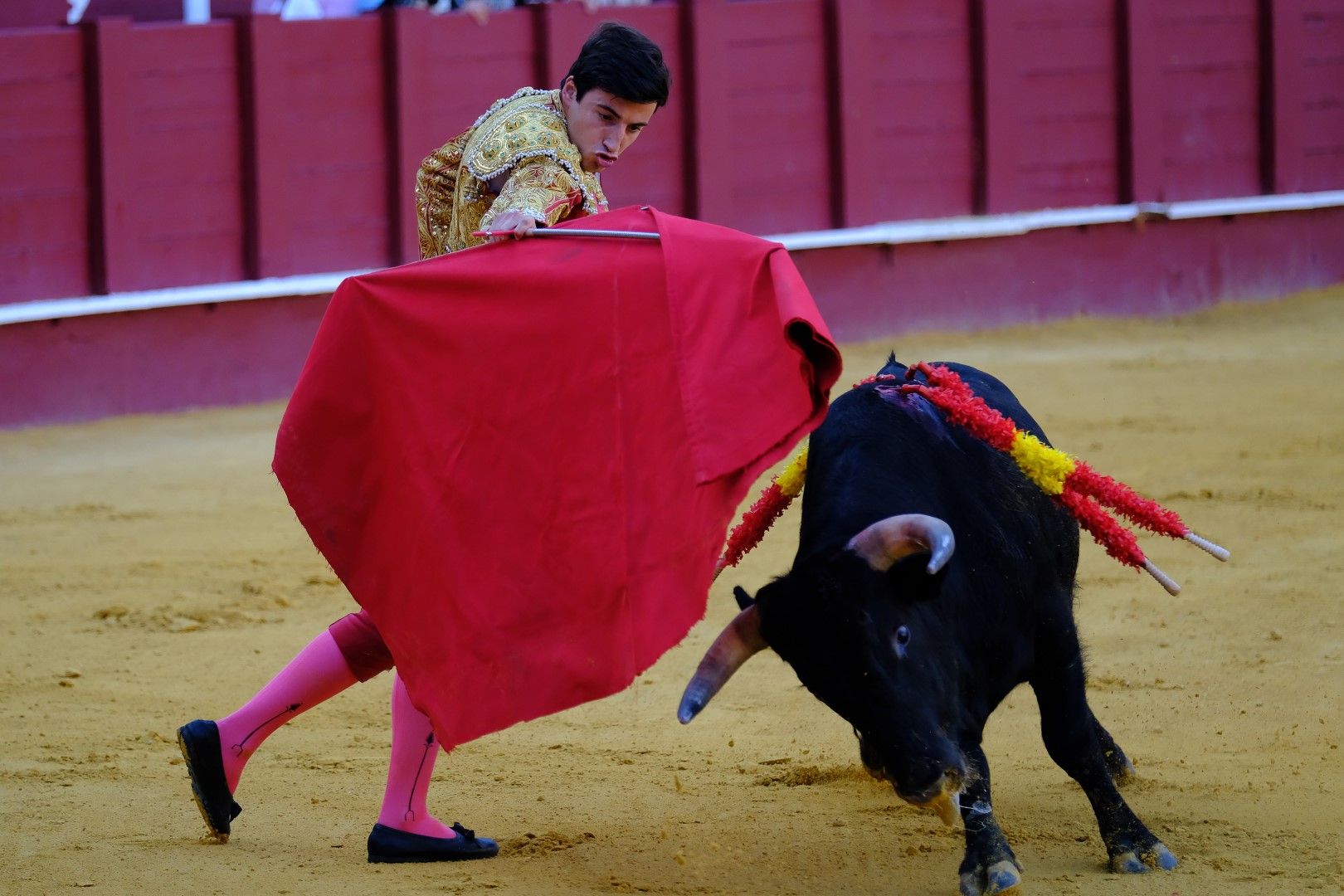 XVI Certamen Internacional de Escuelas Taurinas La Malagueta