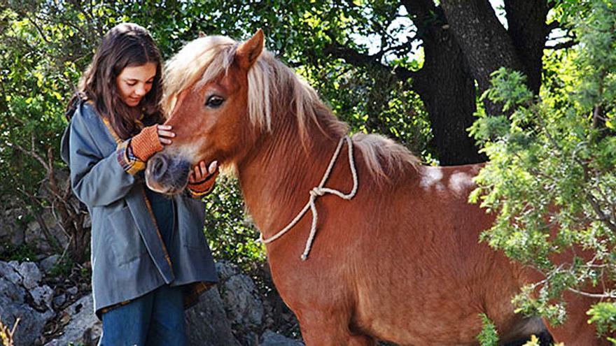 Mi amigo Pony.