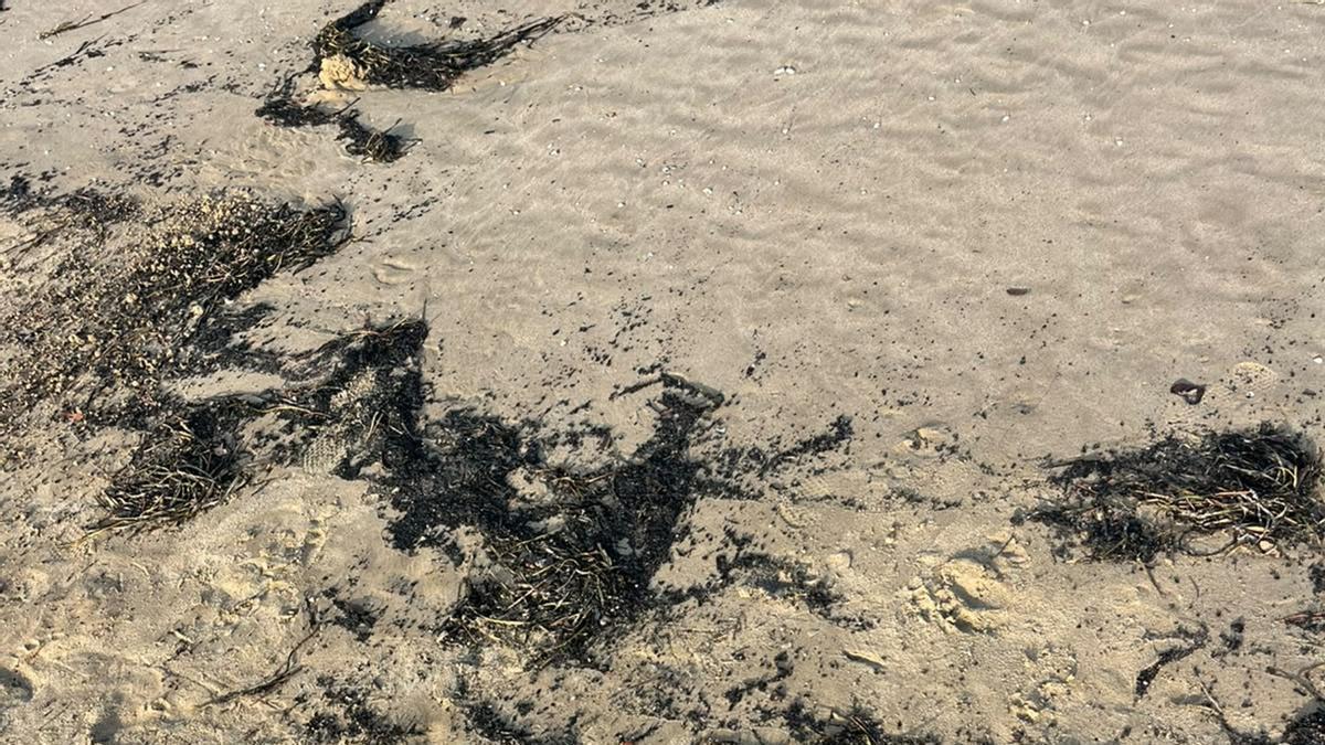 Las cenizas del incendio de la Vall d’Uixó alcanzan las playas del Port de Sagunt