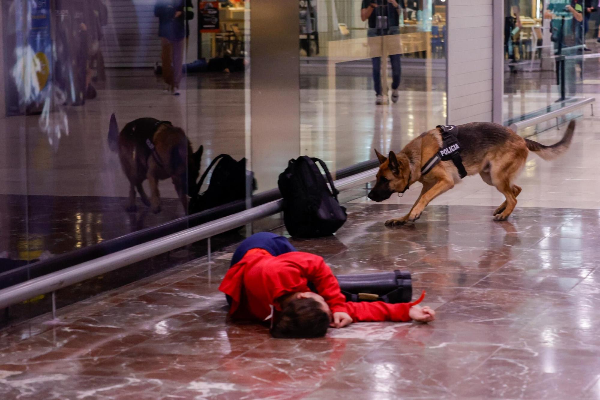 EN FOTOS | Un gran simulacre a Sants posa a prova la resposta a un atemptat terrorista