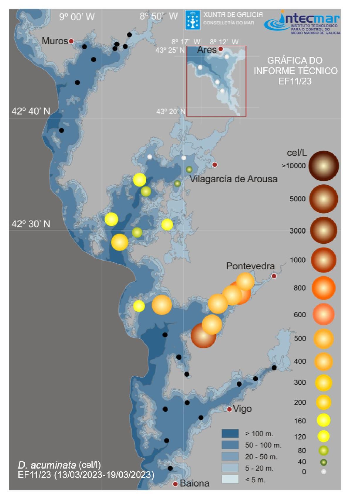 Gráfico en el que se muestra lainfluencia de la “Dinophysis acuminata”, una de las toxinaslipofílicas, en las ríasgallegas. Cuanto más grande yoscuro es el círculo, mayor esel nivel de afección de labiotoxina sobre losmoluscos bivalvos.   | //  INTECMAR