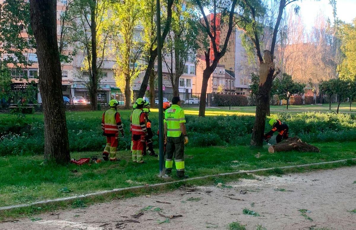 Un bombero sierra el árbol afectado.
