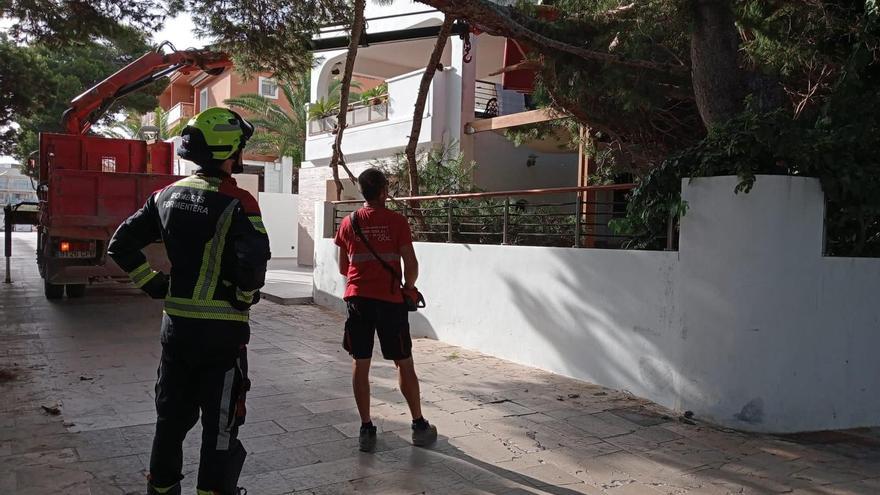 Cae una rama de grandes dimensiones en una calle de Formentera
