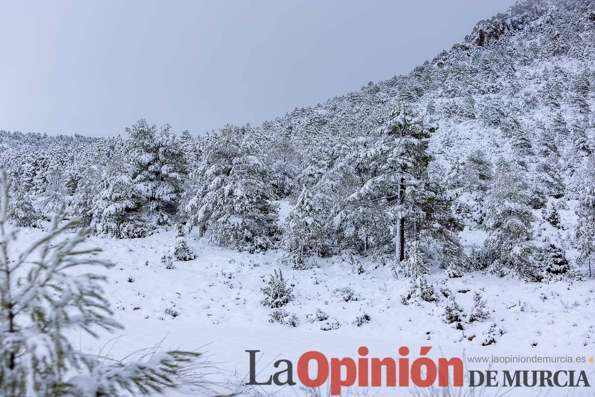 La comarca del Noroeste ofrece una estampa invernal