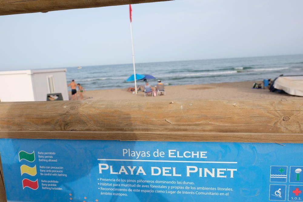 Así está la playa del Pinet de Elche tras morder u