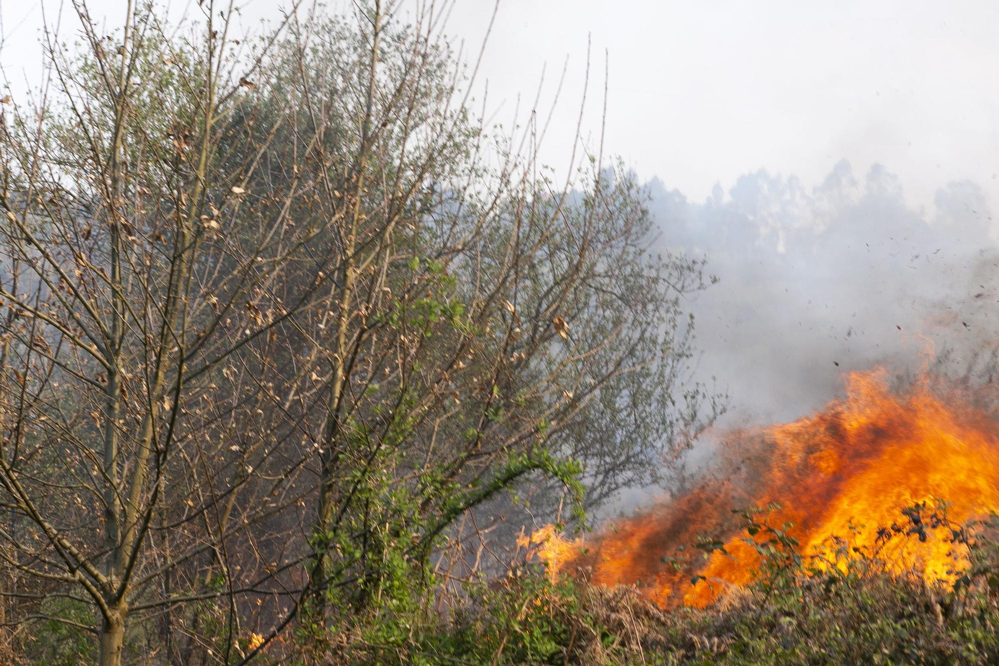 EN IMÁGENES: la extinción del fuego de La Plata (Castrillón), minuto a minuto