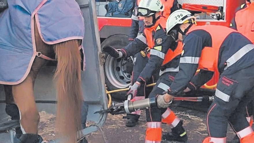 Varios bomberos, durante el rescate del caballo atrapado en un remolque.