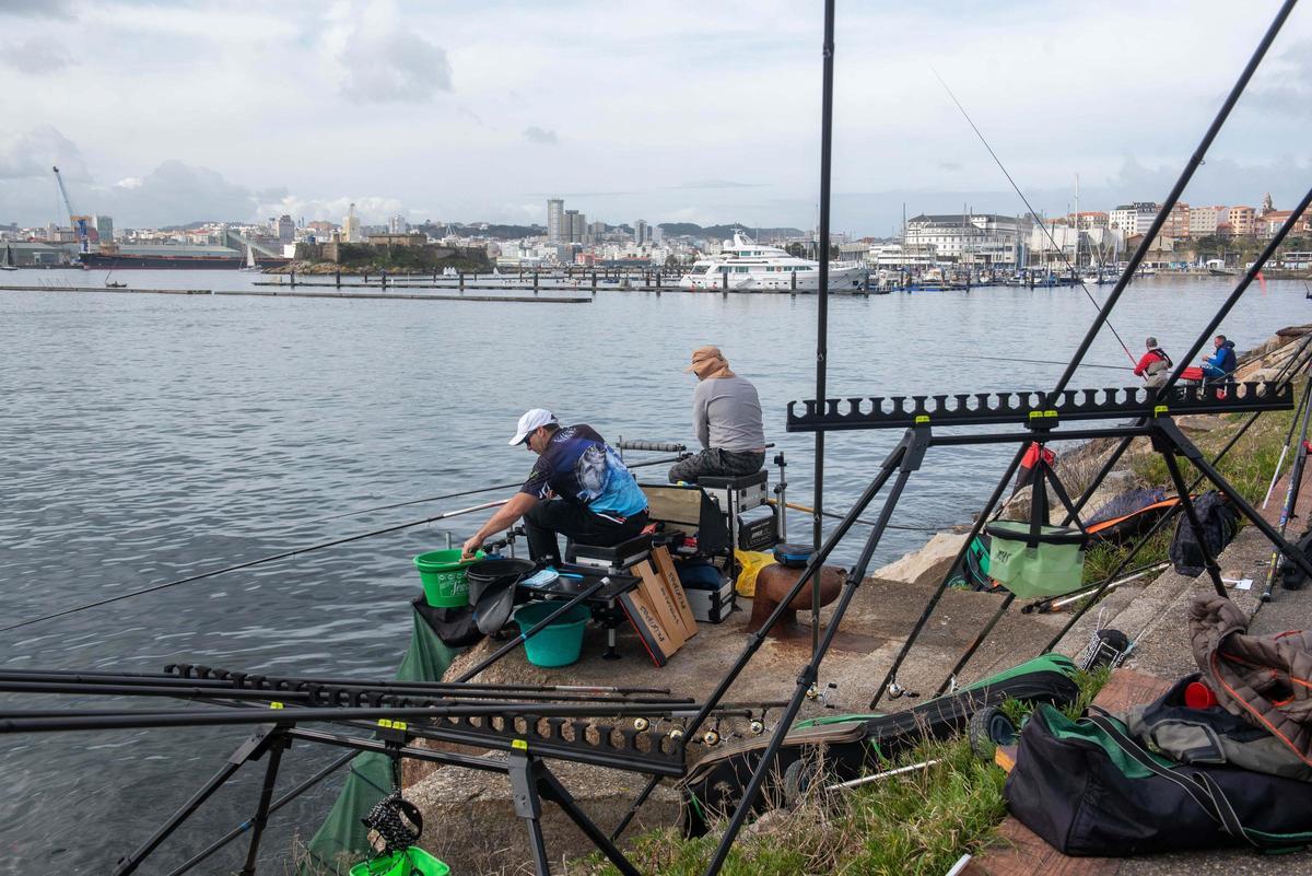 Competición de pesca en el dique de abrigo