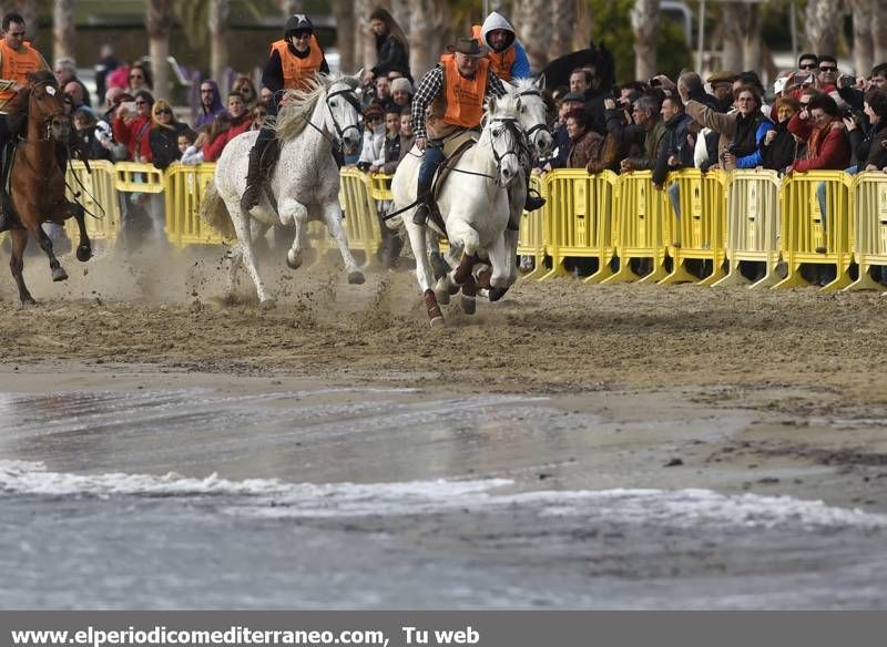 GALERÍA DE FOTOS -- Orpesa celebra Sant Antoni con carreras y bendición de animales