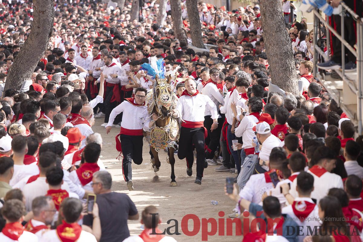 Así se ha vivido la carrera de Los Caballos del Vino en Caravaca