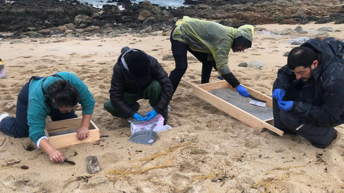 Más de 100 voluntarios limpian la playa de Balieiros, la zona cero de la marea de pélets