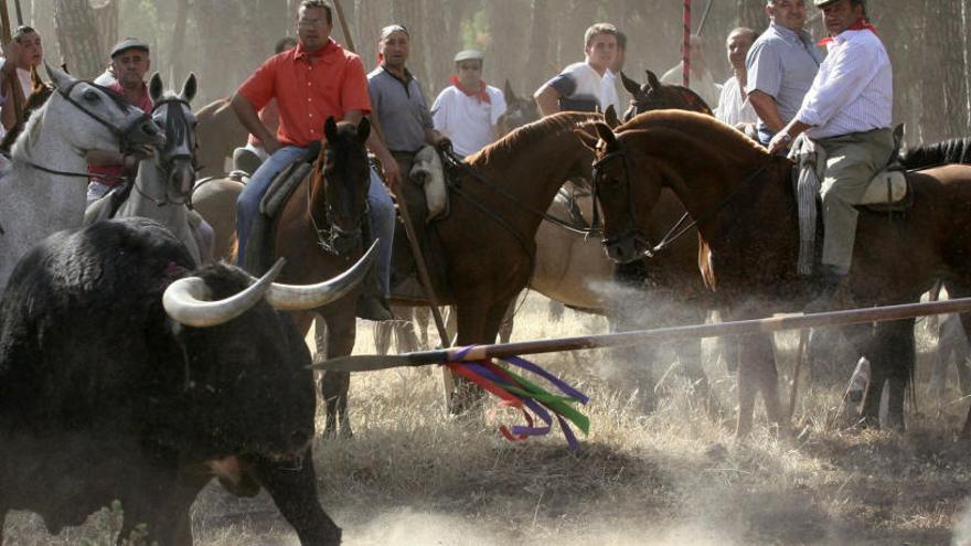 Fotografía de archivo de la celebración del Toro de la Vega.