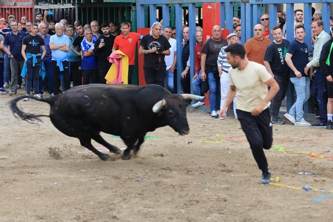 Fotos de la tarde taurina del jueves de las fiestas de Sant Pasqual en Vila-real