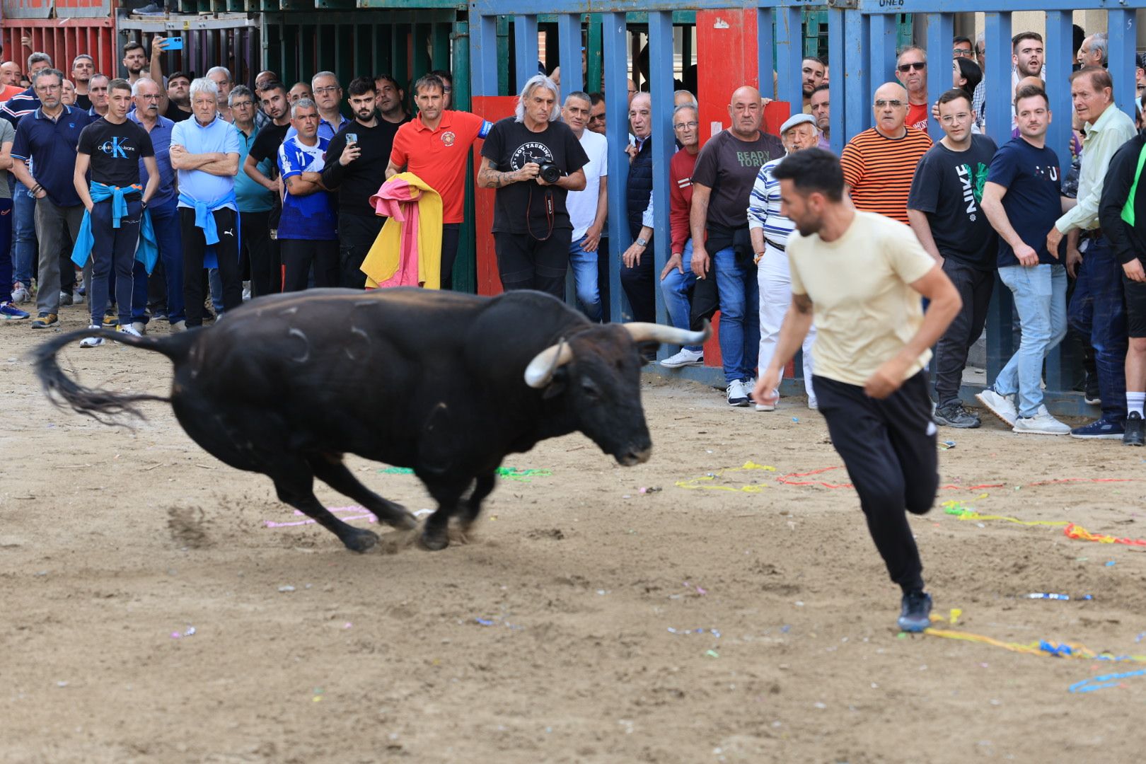 Fotos de la tarde taurina del jueves de las fiestas de Sant Pasqual en Vila-real