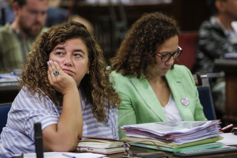 Pleno del Parlament