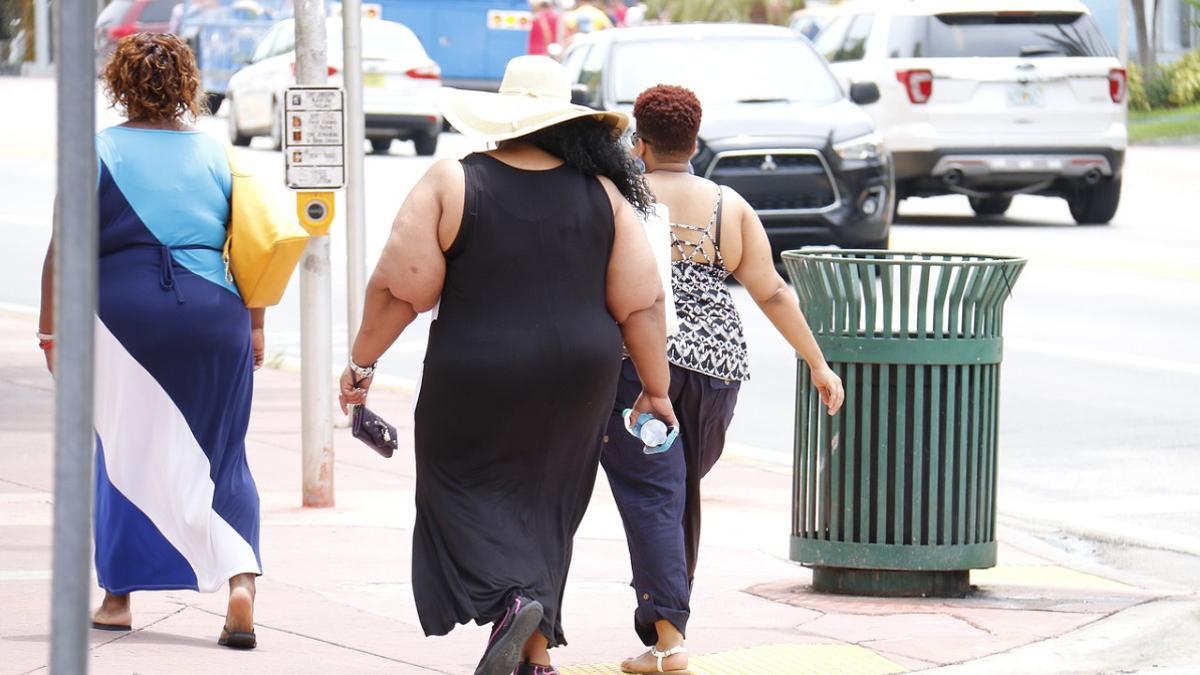 Una serie de respuestas cerebrales puede facilitar las conductas que promueven la obesidad.