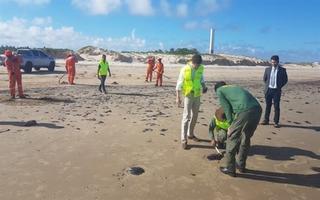 Bolsonaro asegura que el petróleo en las playas de Brasil es "extranjero"