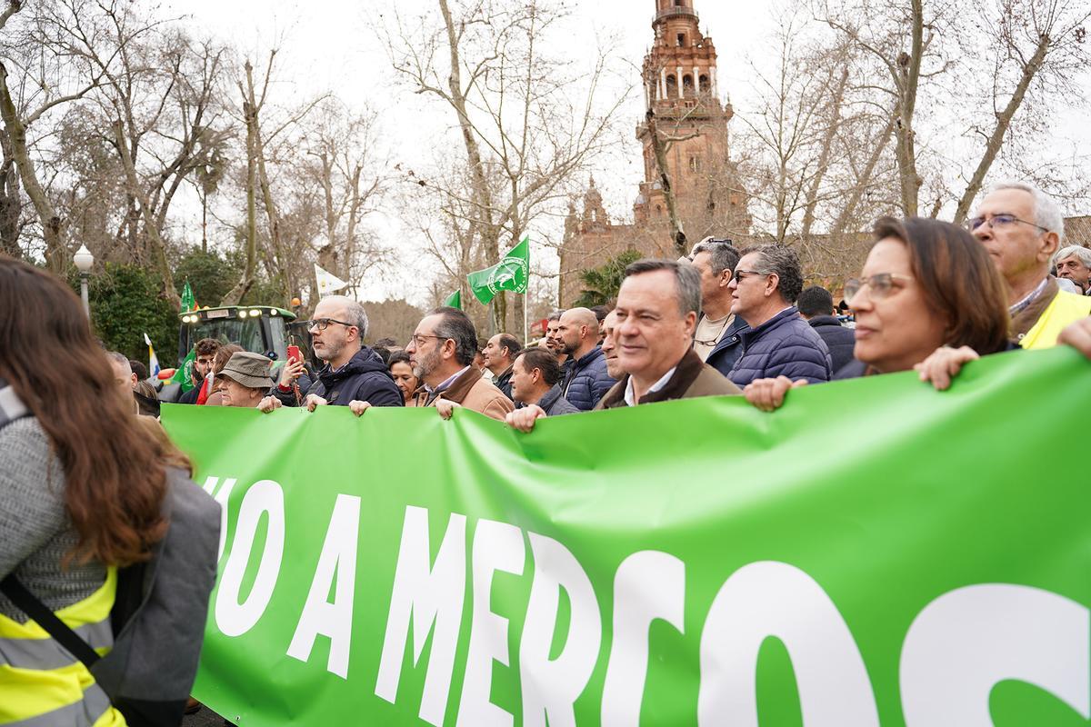 Protestas en la Plaza de España Protestas en la Plaza de España