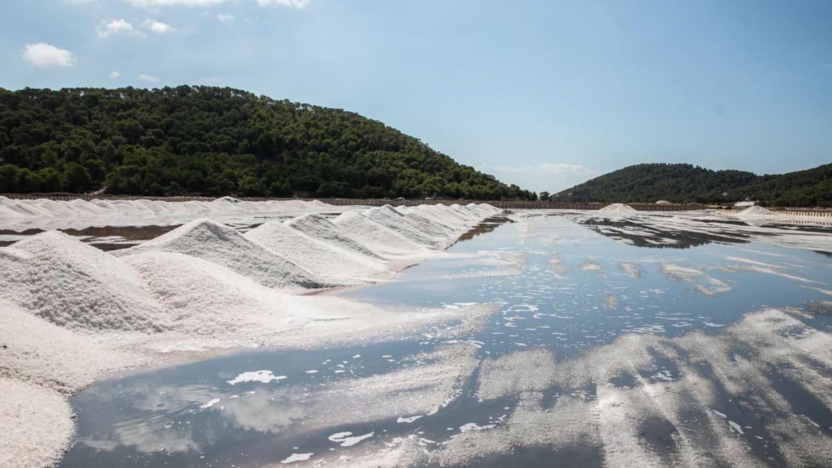 Montículos de sal tras el vaciado de estanques de ses Salines. | ZOWY VOETEN