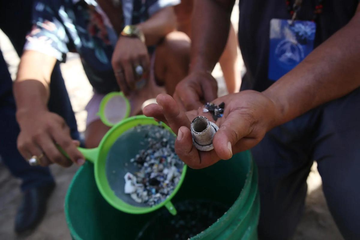 Un grupo de personas trabaja en la limpieza de microplásticos en la playa Ana Kena, en Isla de Pascua (Chile).