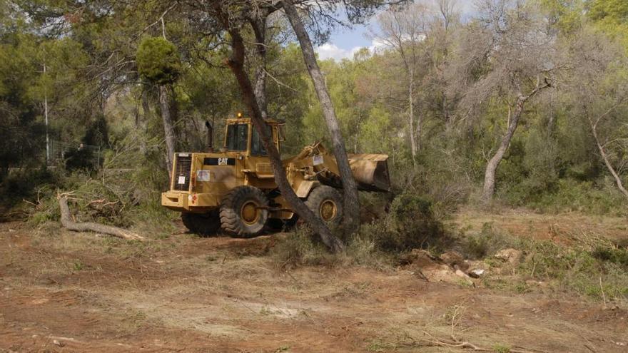 Una máquina ha iniciado los trabajos de desarbolado del solar donde se ubicará el equipamiento social.