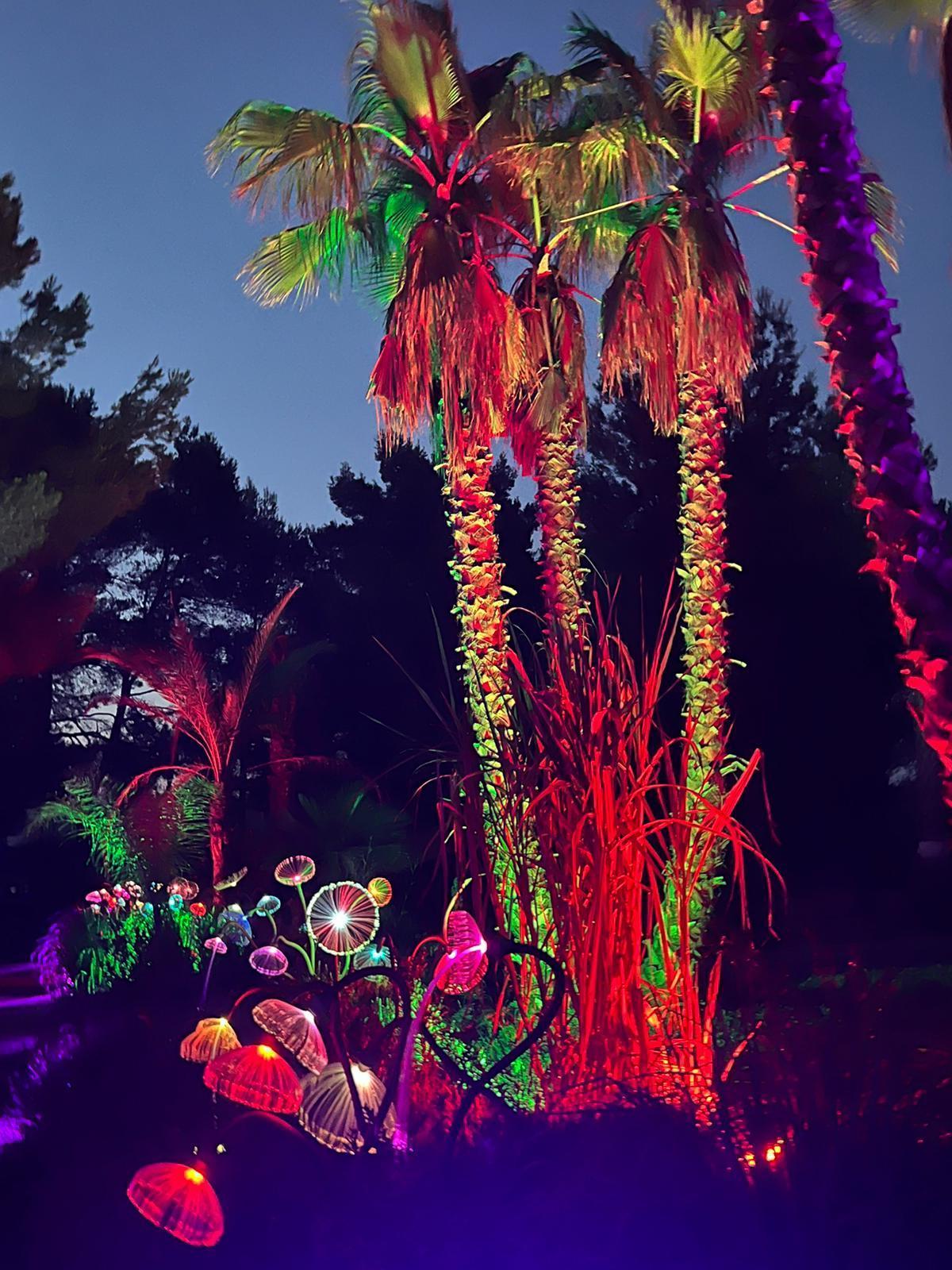 El jardín de BiBo Park durante el evento Astro Magic Lights.