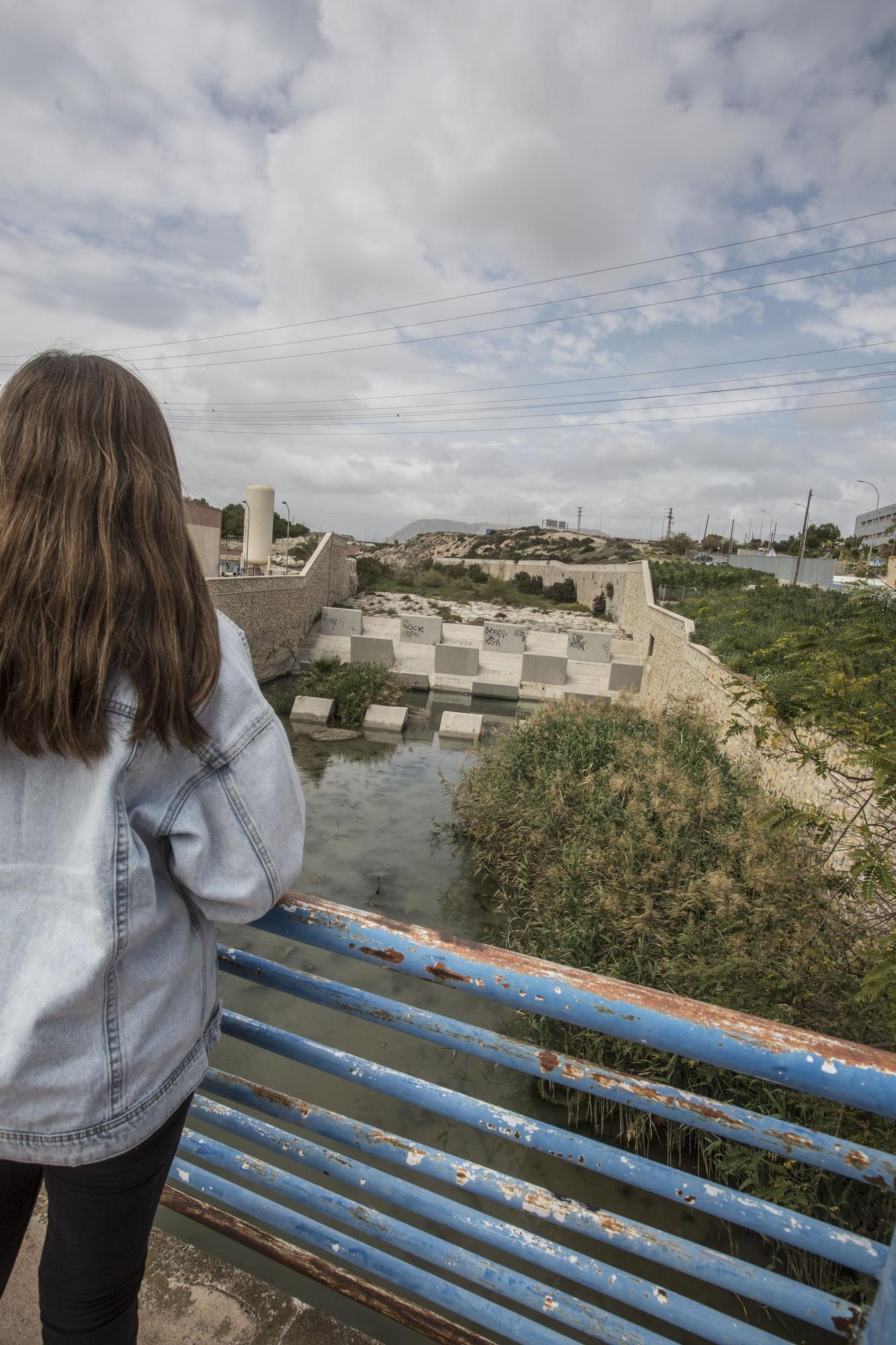 Nadie quiere limpiar el Barranco de las Ovejas en Alicante