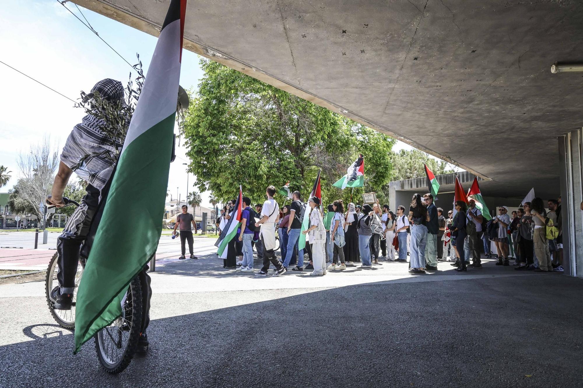 La acampada pro Palestina en la UA coge fuerza