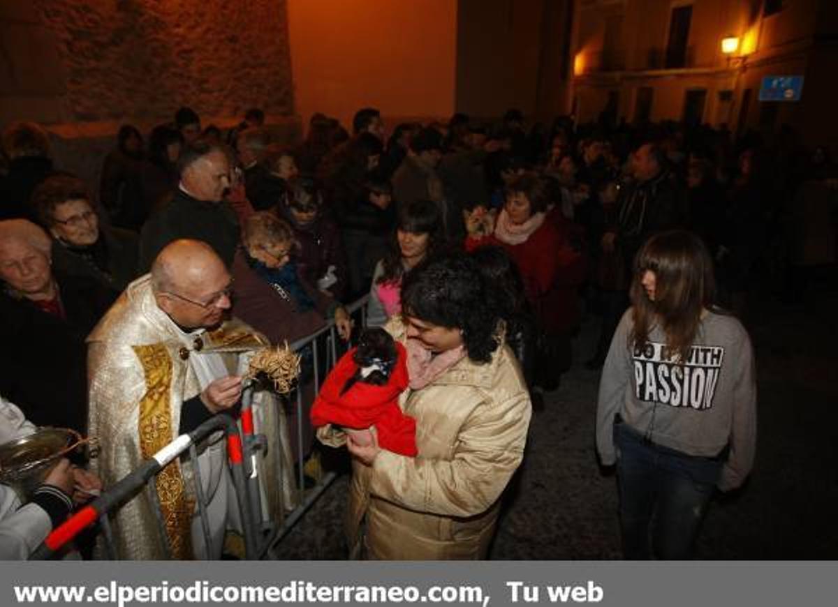 GALERÍA DE FOTOS - Matxa de Sant Antoni Alamassora