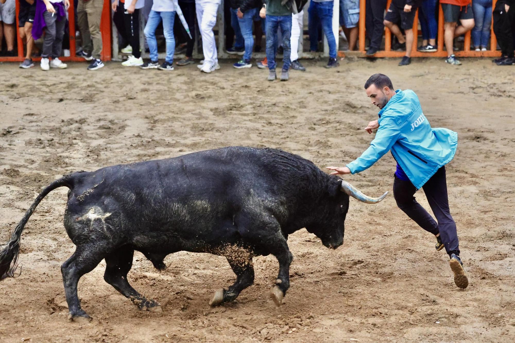 Galería de fotos de la penúltima tarde de toros de las fiestas del Roser en Almassora