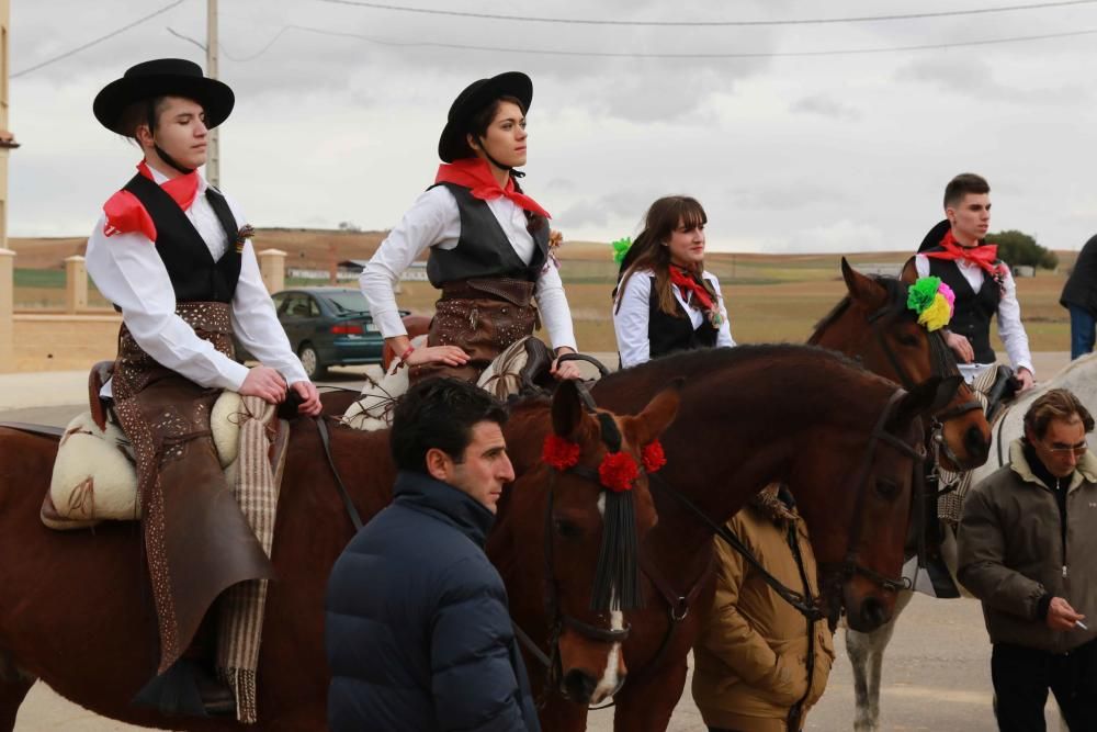 Carrera de gallos de San Miguel de la Ribera