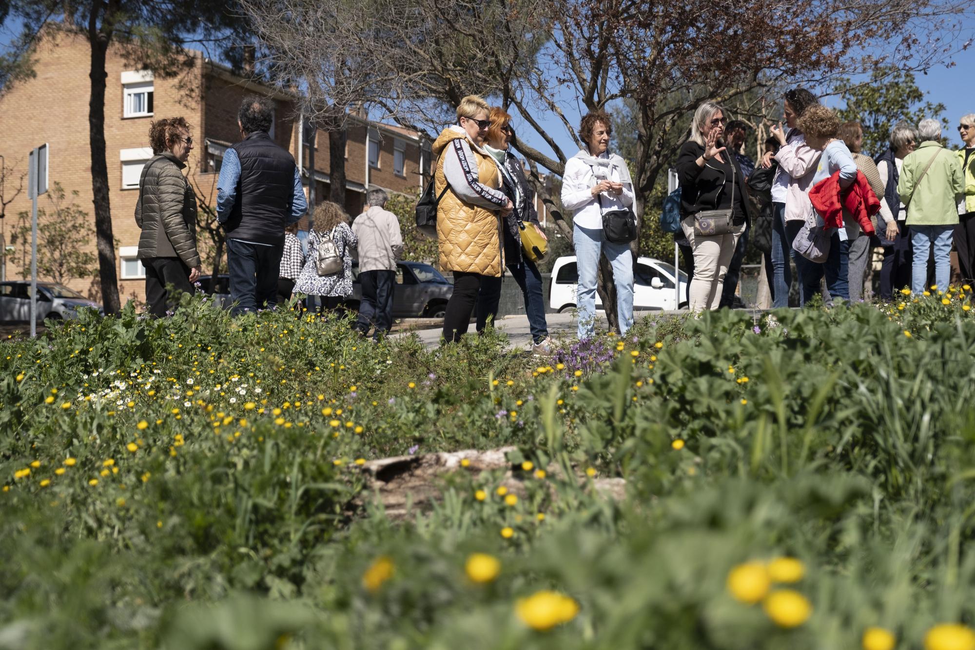 Inauguració del jardí de les papallones de Sant Fruitós