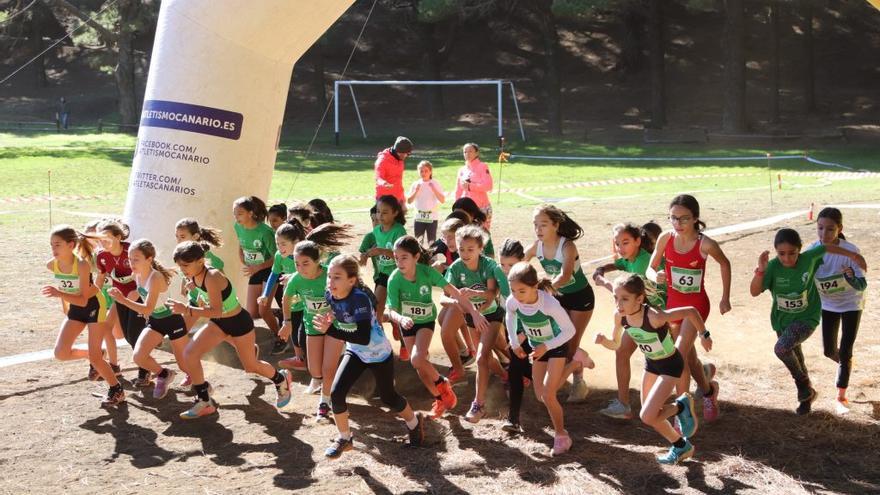 El Hierro acoge el Campeonato de Canarias de campo a través en las categorías menores.