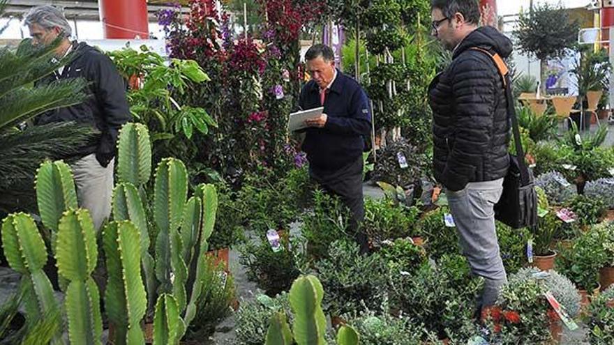 Viveralia 2020: el gran jardín con las últimas novedades en viveros y zonas verdes