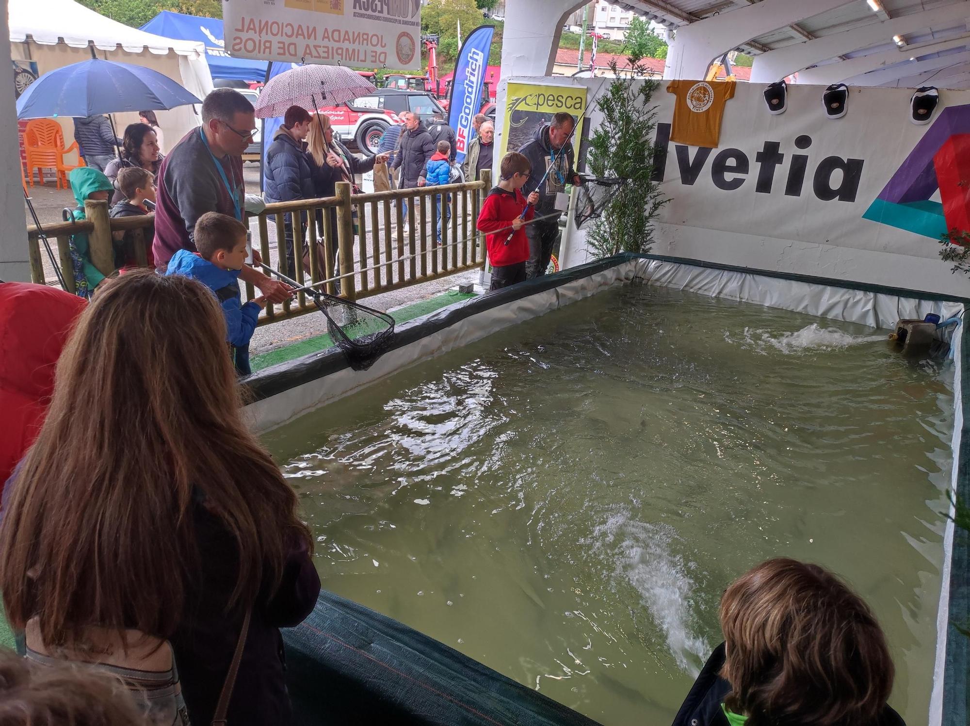 En imágenes: El chosco de Tineo y el queso cabrales se dan la mano en el broche de la 34.º Feria de Muestras de Tineo