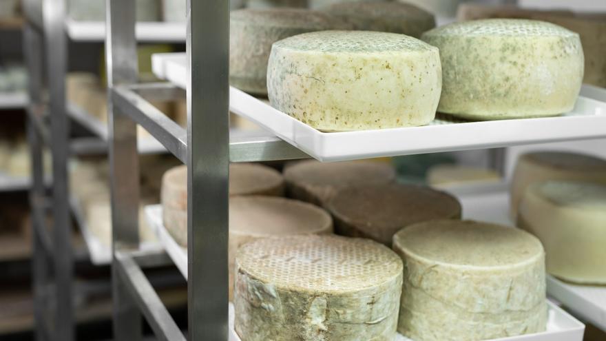 Alertan de la presencia de la bacteria salmonela en cuatro quesos comercializados en España