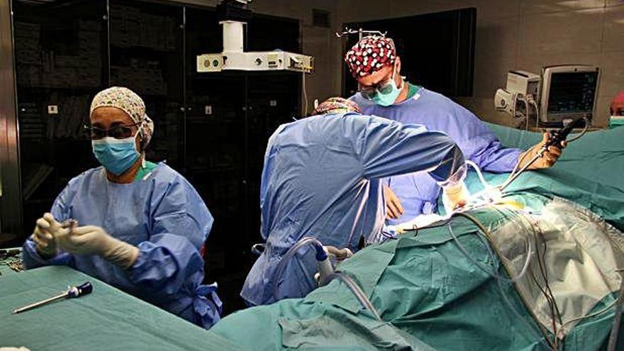 Un trasplantament renal a l&#039;hospital del Mar de Barcelona.
