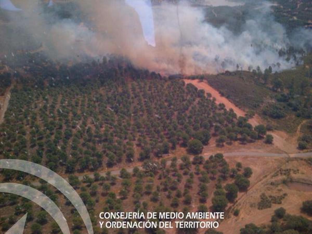Imagen de un incendio en Los Lagos del Serrano, mismo lugar donde fue incendiado el camping.