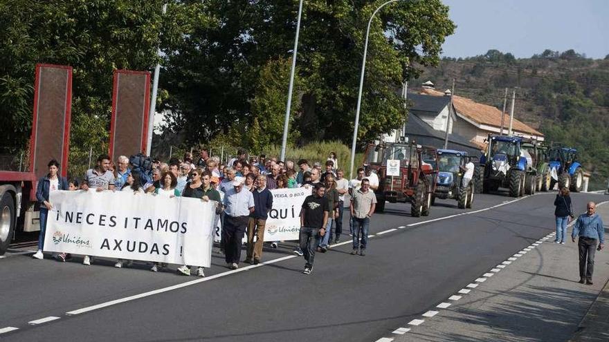 Ganaderos y productores de castaña y miel de Viana do Bolo, ayer, participando en una tractorada.