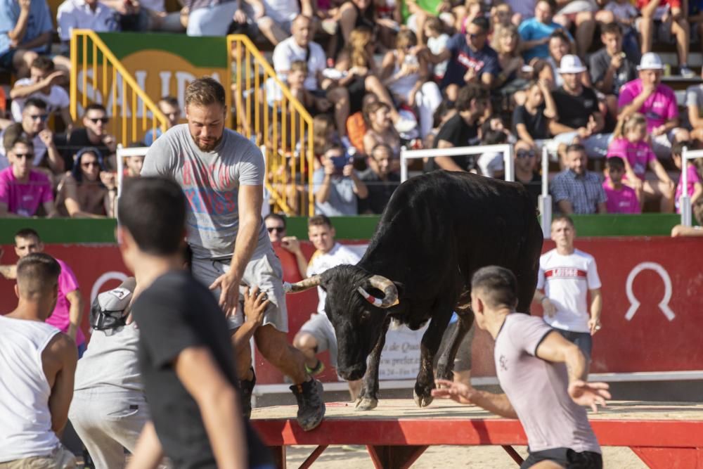 Vidreres celebra els correbous entre les protestes dels animalistes