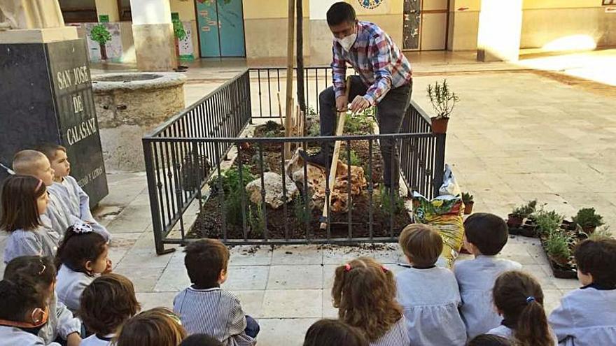 Gandia divulga la seua flora | LEVANTE-EMV