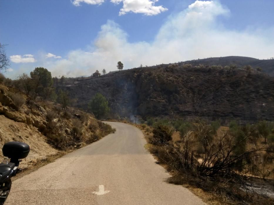 El fuego, en el término de Chella.