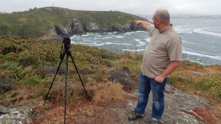 Los acantilados de Dexo cobijan la mayor colonia peninsular de un ave amenazada