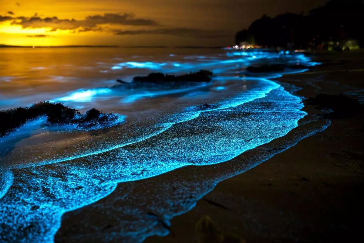 La bioluminescència s'aprecia molt bé a Cadis