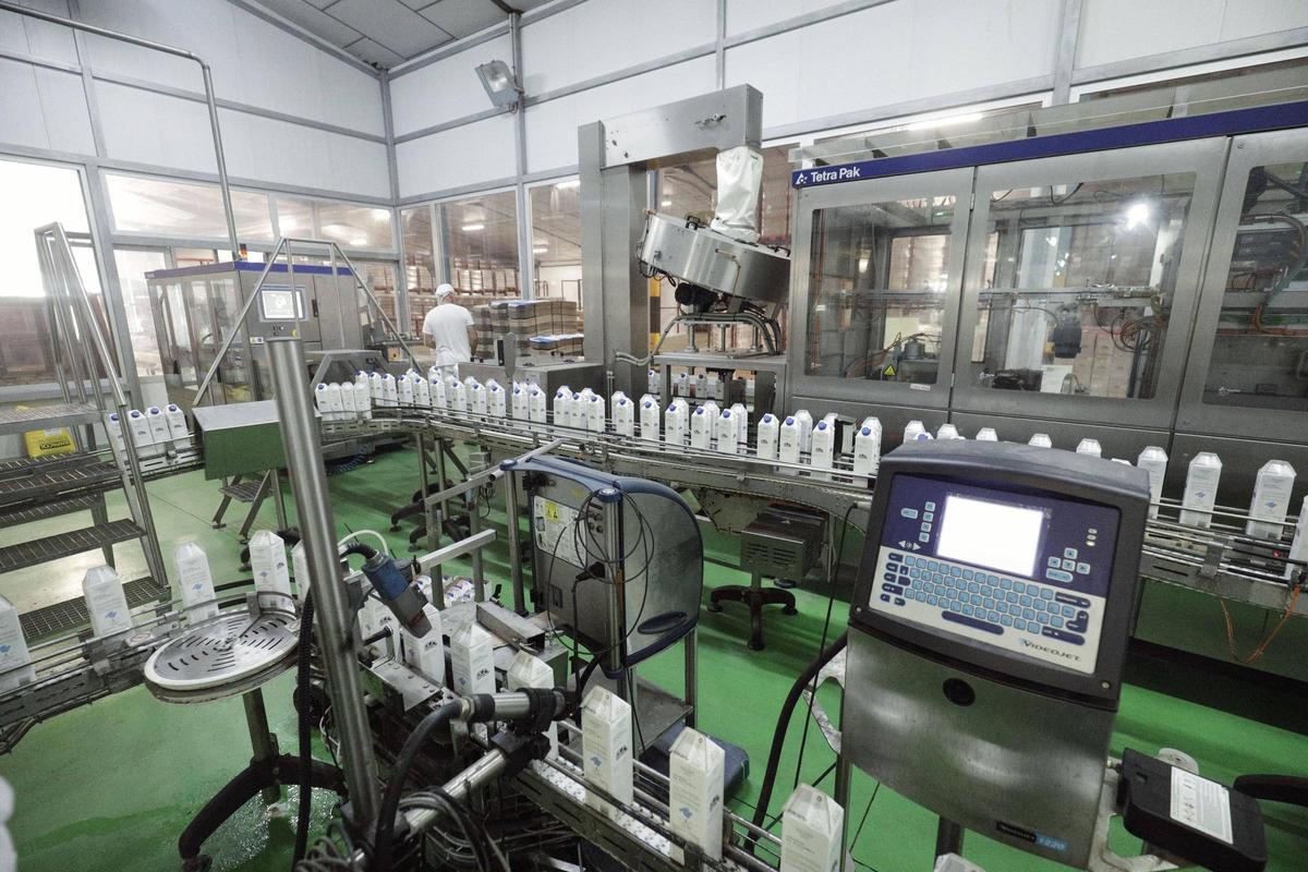 Interior de la planta mallorquina AGAMA.