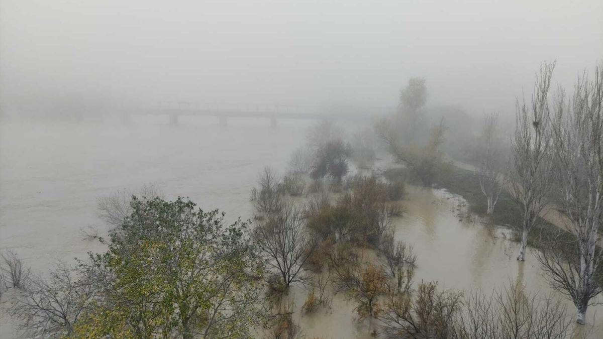 La zona del Azud del Ebro en Zaragoza amaneció el viernes con niebla