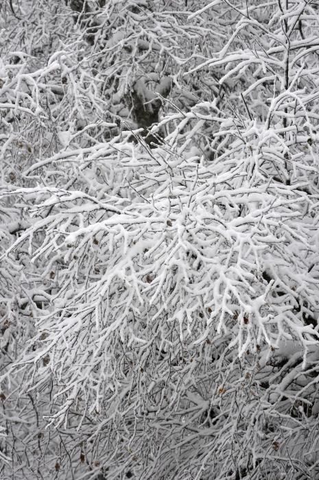 Ola de frío y nieve en Asturias