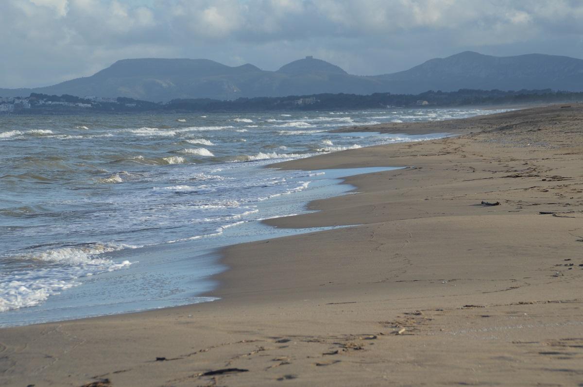 La platja de Sant Pere a l'Escala, sense curculles després de la darrera llevantada.