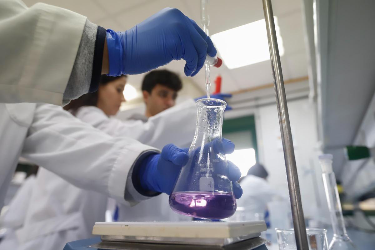 El Plan Propio de Investigación de la UCO protege las líneas estratégicas en momentos singulares e impulsa las emergentes.